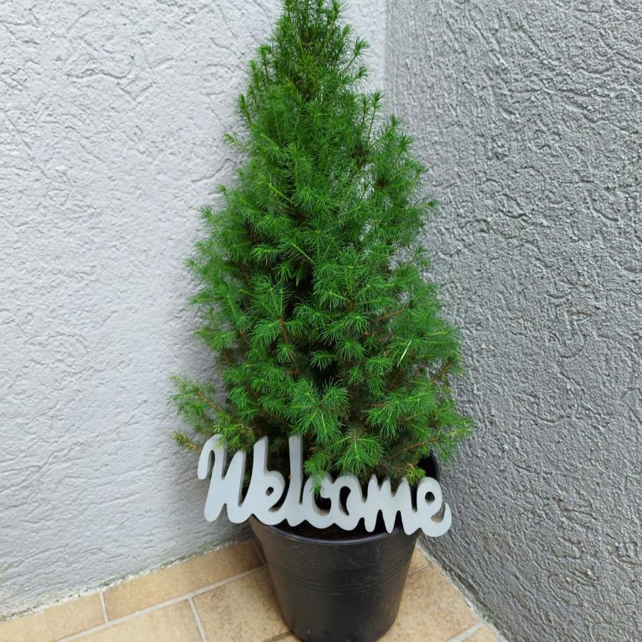Feels Like Home @ Eppinger Remseck am Neckar Exterior photo